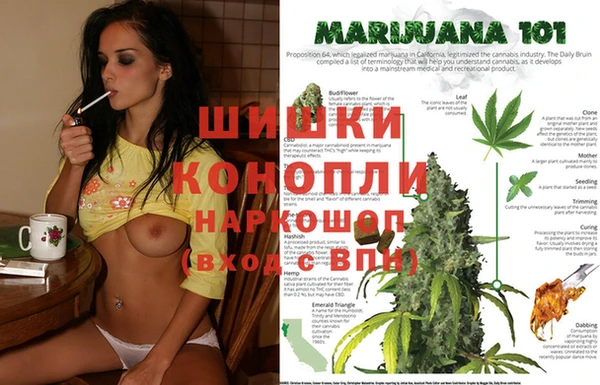 спайс Арсеньев