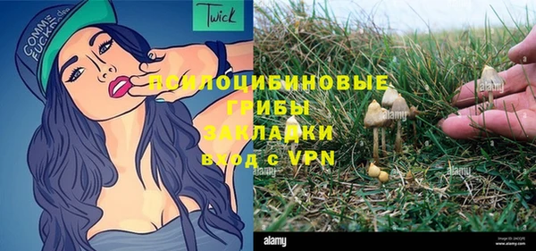 дживик Аркадак
