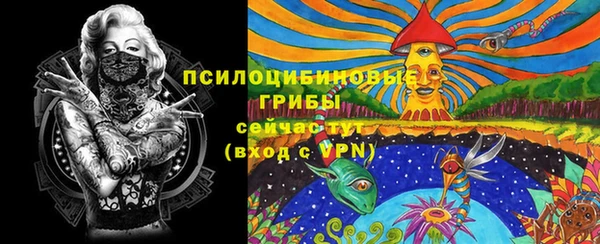спайс Арсеньев