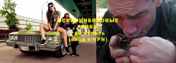 дживик Аркадак