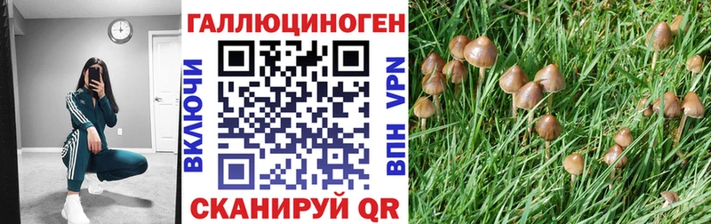 Псилоцибиновые грибы ЛСД  купить наркотик  hydra как зайти  Медынь 